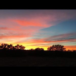 Meet your Posher, Riley